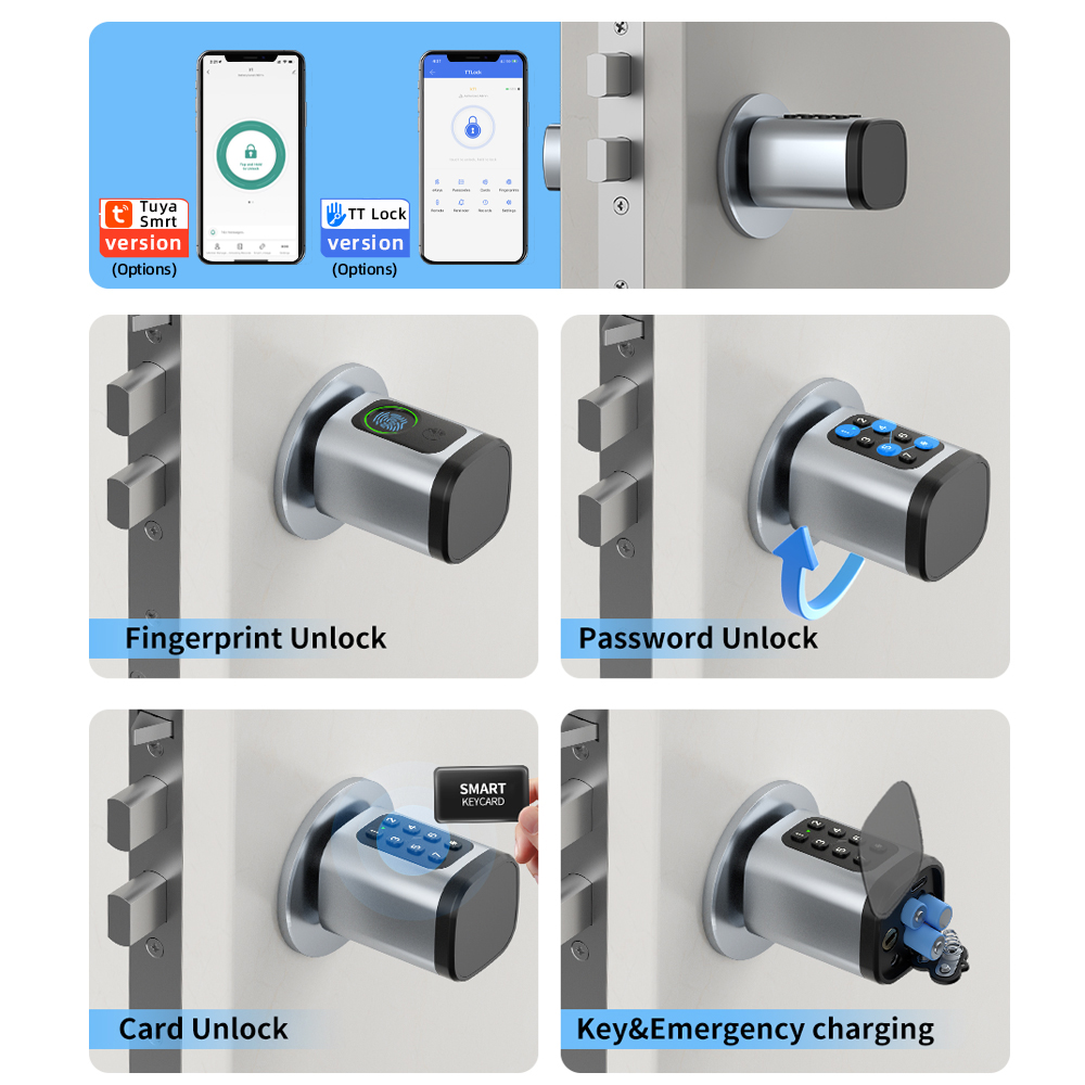 RAYKUBE V1 Tuya BLE TT ロックスマート - Diy Waterproof Electronics のレビューと価格