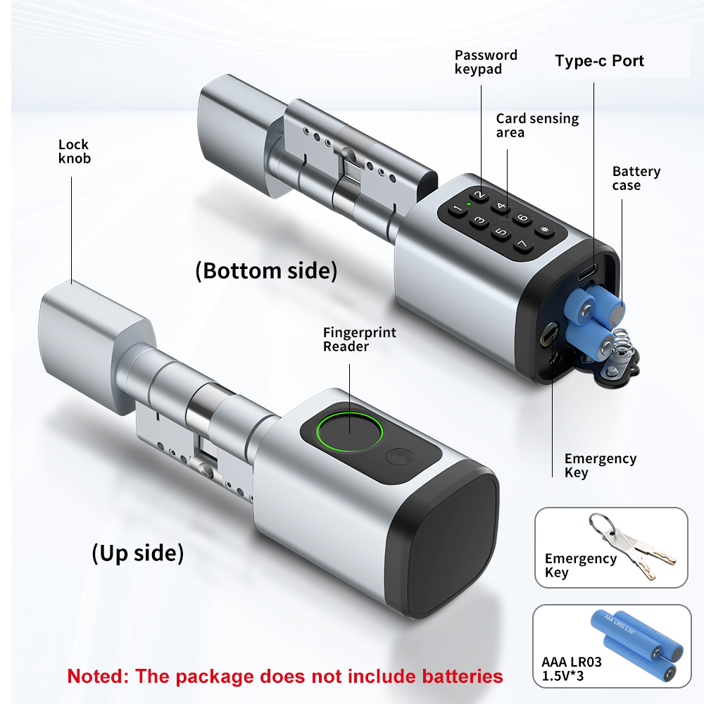 RAYKUBE V1 Tuya BLE TT ロックスマート - Diy Waterproof Electronics のレビューと価格